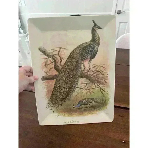 VTG Pottery Barn Peacock Tray‎ Pavo Muticus E Neale Melamine 16" x 12" Rectangle - Picture 3 of 3